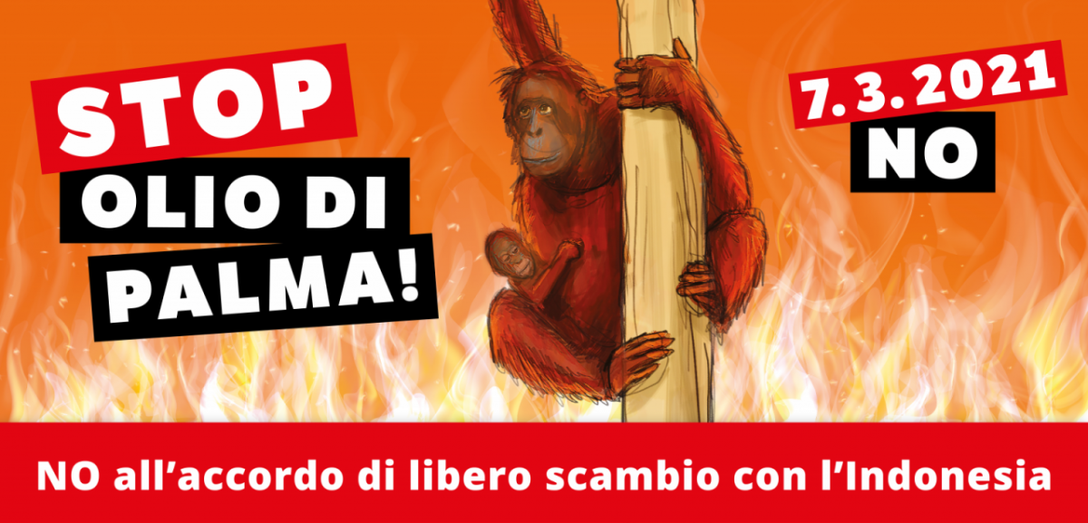 Stop Olio di Palma &ndash; No all&rsquo;accordo di libero scambio con l&rsquo;Indonesia